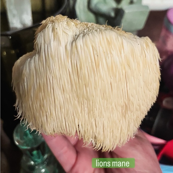 Meet your Posher, Amy - Picture 13 of 16